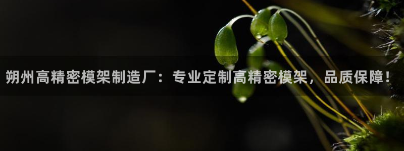 彩神vll官网-最新版app下载：朔州高精密模架制造厂：专业定制高精密模架，品质保障！