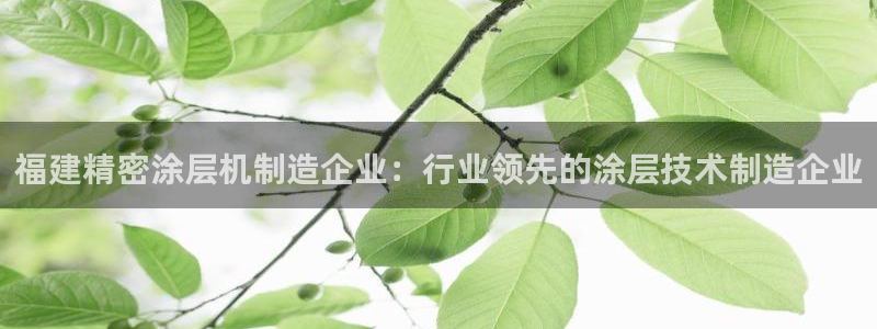 彩神争霸官网登录平台：福建精密涂层机制造企业：行业领先的涂层技术制造企业