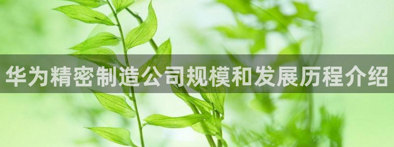 彩神vii购彩l心：华为精密制造公司规模和发展历程介绍