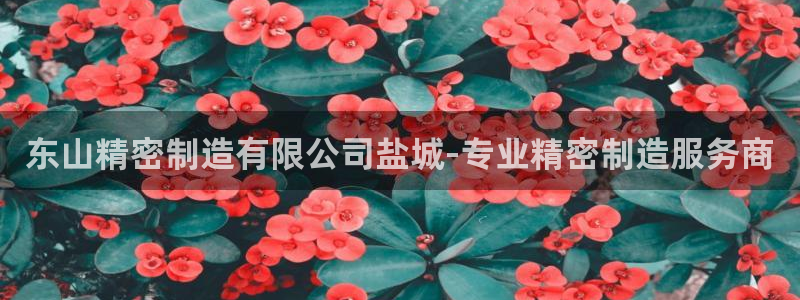 彩神v集团有限公司