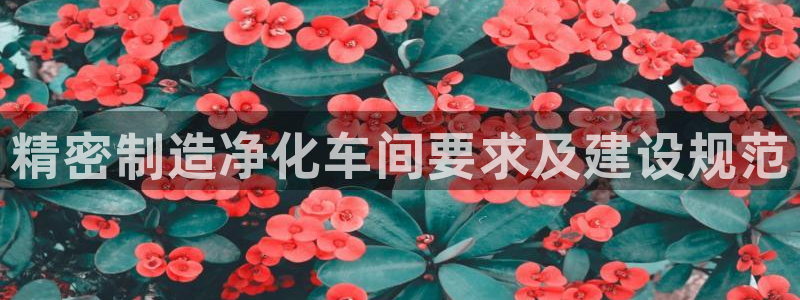 彩神8官网合法吗