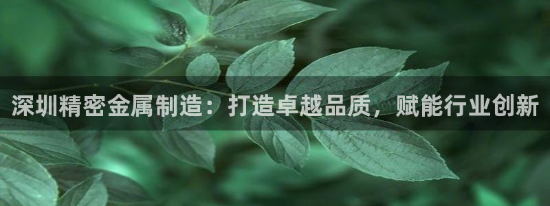 彩神大发官网：深圳精密金属制造：打造卓越品质，赋能行业创新