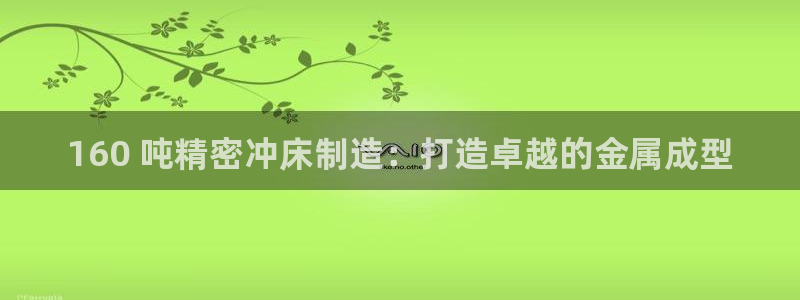 彩神购彩购彩大厅入口v：160 吨精密冲床制造：打造卓越的金属成型
