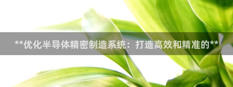 彩神V8有限公司：**优化半导体精密制造系统：打造高效和精准的**