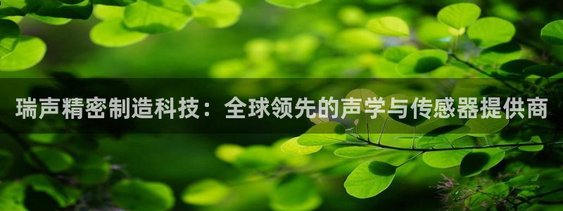 彩神vlll官网网上购彩：瑞声精密制造科技：全球领先的声学与传感器提供商