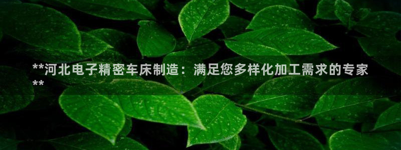 彩神网正规吗：**河北电子精密车床制造：满足您多样化加工需求的专家
**