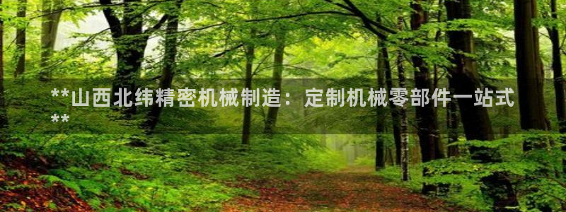 新版彩神v8登录不上去：**山西北纬精密机械制造：定制机械零部件一站式
**