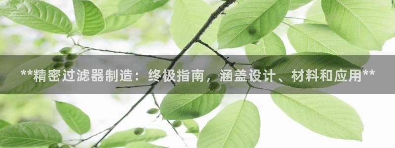 彩神vip官方网站：**精密过滤器制造：终极指南，涵盖设计、材料和应用**