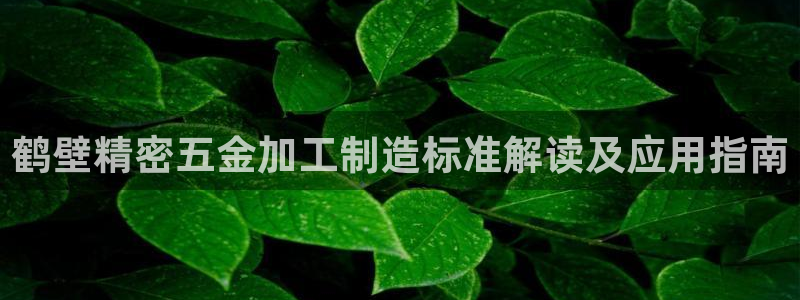 彩神v平台：鹤壁精密五金加工制造标准解读及应用指南