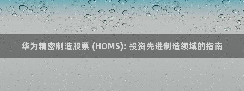 新版彩神v8登录教程：华为精密制造股票 (HOMS): 投资先进制造领域的指南