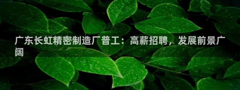 彩神ix可靠吗：广东长虹精密制造厂普工：高薪招聘，发展前景广
阔