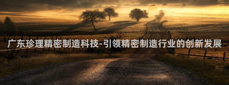 新版彩神v8登录不了：广东珍理精密制造科技-引领精密制造行业的创新发展