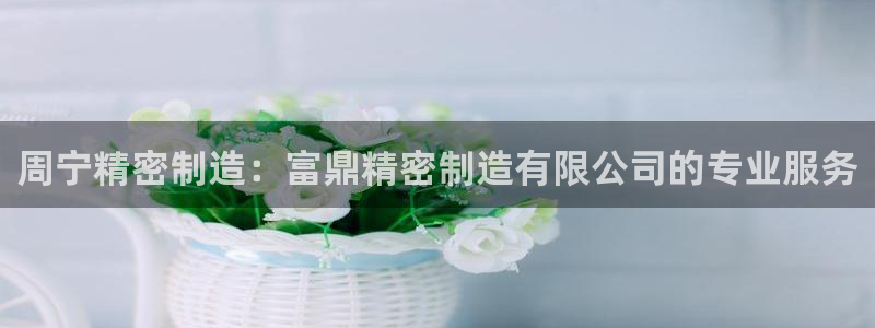 下载彩神争霸谁与我争锋：周宁精密制造：富鼎精密制造有限公司的专业服务