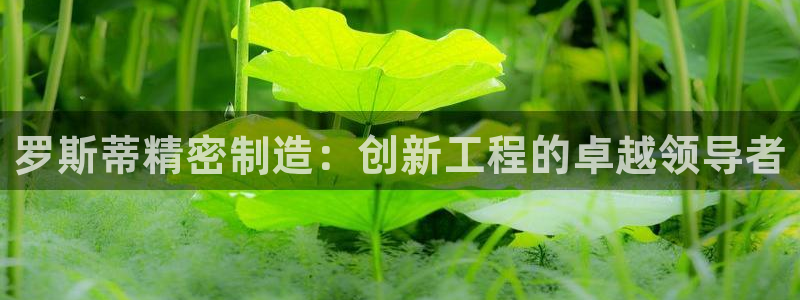 彩神ll能赚钱吗：罗斯蒂精密制造：创新工程的卓越领导者