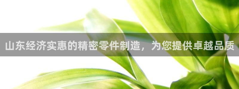 新版彩神v8登录不了：山东经济实惠的精密零件制造，为您提供卓越品质