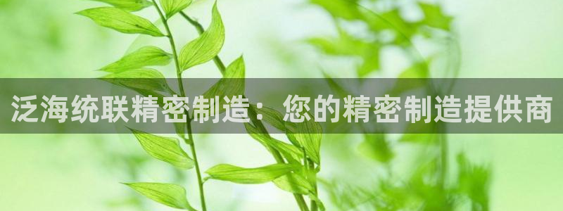 彩神团队是真的吗：泛海统联精密制造：您的精密制造提供商