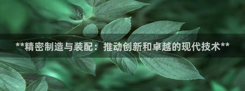 彩神v8购彩大厅登：**精密制造与装配：推动创新和卓越的现代技术**