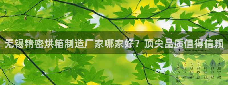 彩神平台能提现吗：无锡精密烘箱制造厂家哪家好？顶尖品质值得信赖