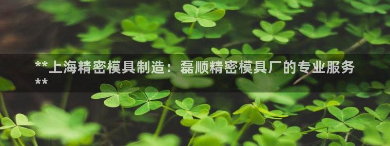 彩神v8是真的挣钱吗知乎：**上海精密模具制造：磊顺精密模具厂的专业服务
**